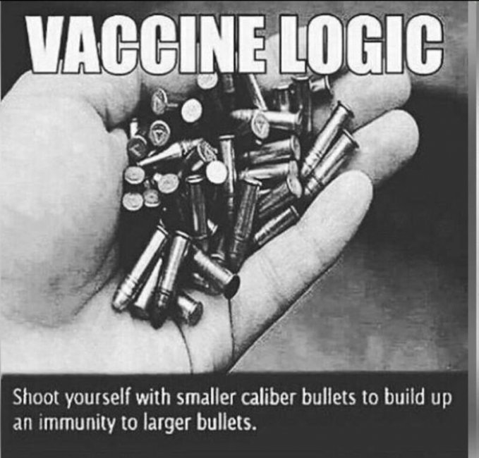 Vaccine Logic-a.jpg