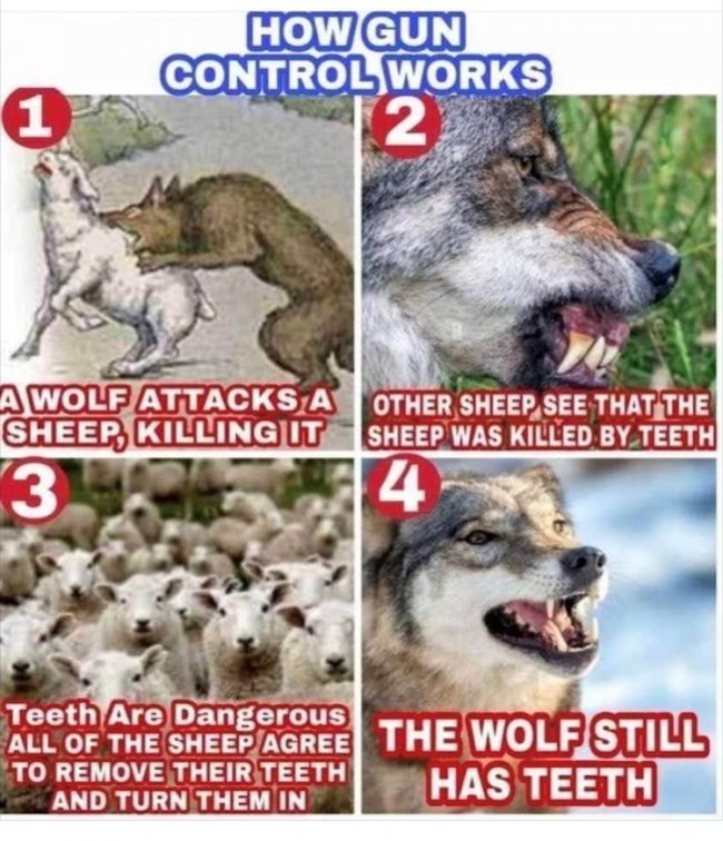 Wolves Sheep Gun Control.jpg
