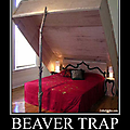 beaver trap.png