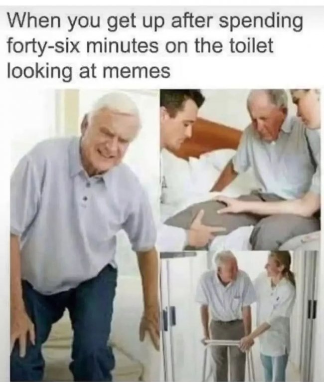 Toilet Memes.jpg