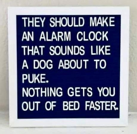 Dog Puke Alarm.jpg