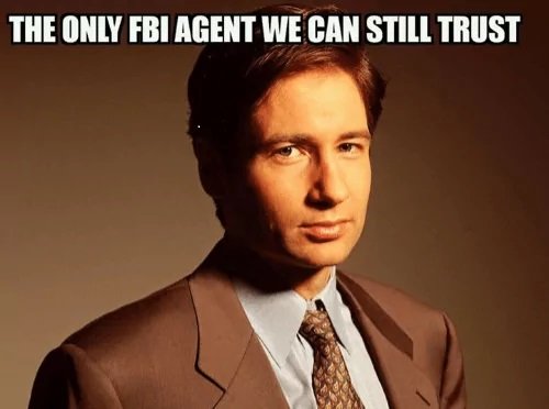 FBI Fox.jpg