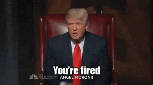 donald-trump-youre-fired.gif