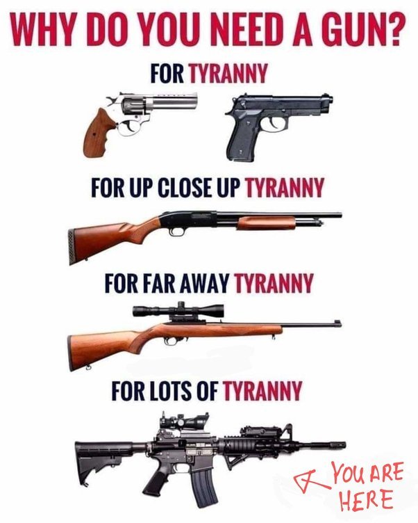 Need Gun for Tyranny.jpg