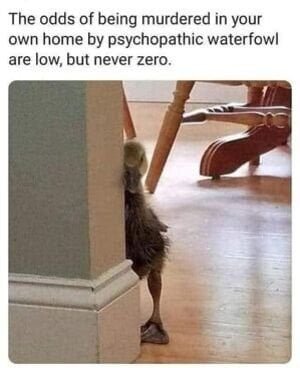 Psycho Duck.jpg
