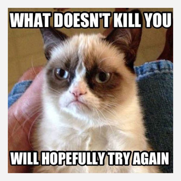 9-Best-Grumpy-Cat-Memes-2.jpg