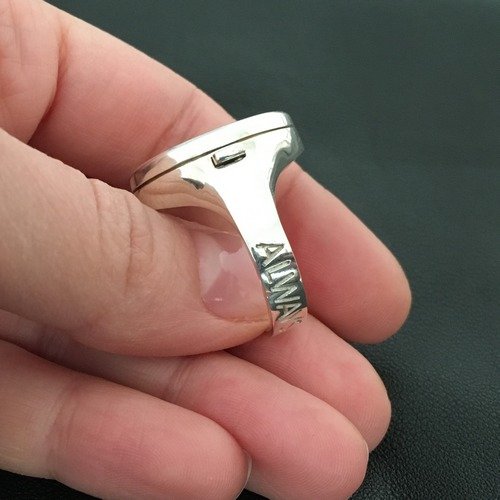 miniature-gun-in-a-ring.jpg