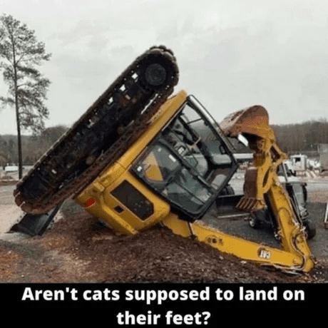 Cats Land On Feet.png