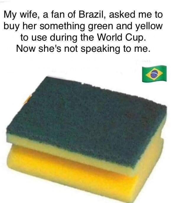 Brazil Sponge.jpg