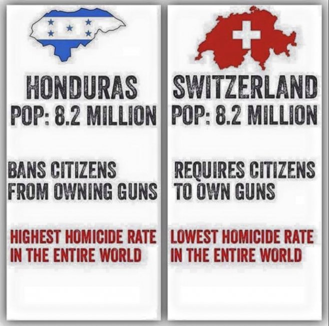 Gun Laws.jpg