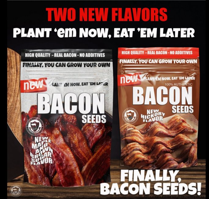 Bacon Seeds 2022.jpg