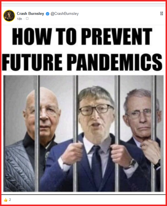 prevent pandemics.png