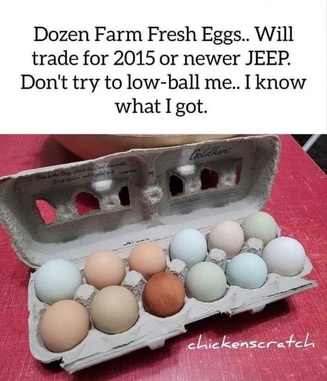 Trade Eggs.jpeg