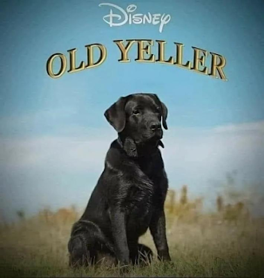 Old Yeller.png