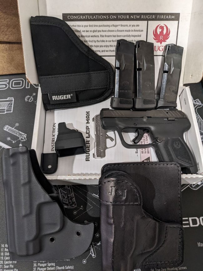 Ruger-LCP-Max.jpg