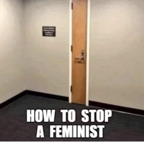 stop feminist.jpeg