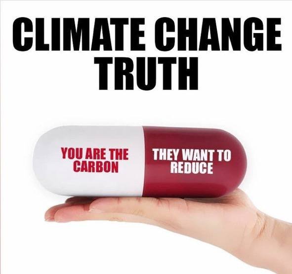 Climate Change Carbon.jpg