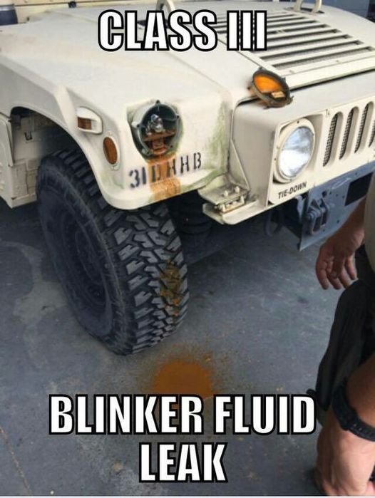 BlinkerFluidLeak.jpg