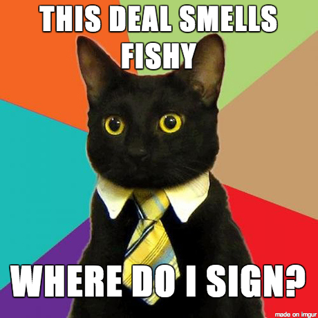 e5a3713ae6c9b6a01e30bae626adb7fe--business-cat-meme-a-business.png
