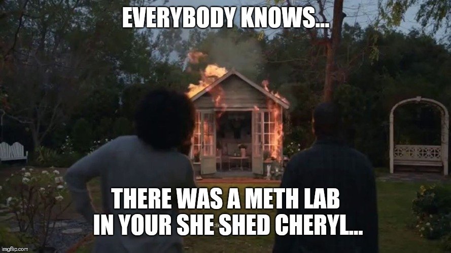 she shed meth lab.jpeg
