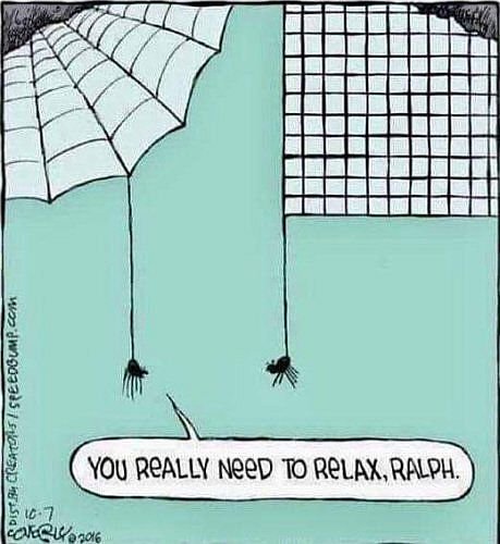 Relax Ralph.jpg