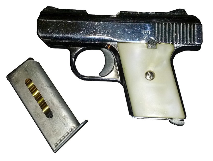 Raven_MP-25_Chrome_with_faux_mother_of_pearl_grips (1).jpg