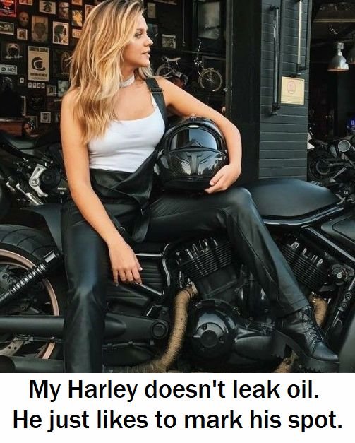 Harley Oil.jpg