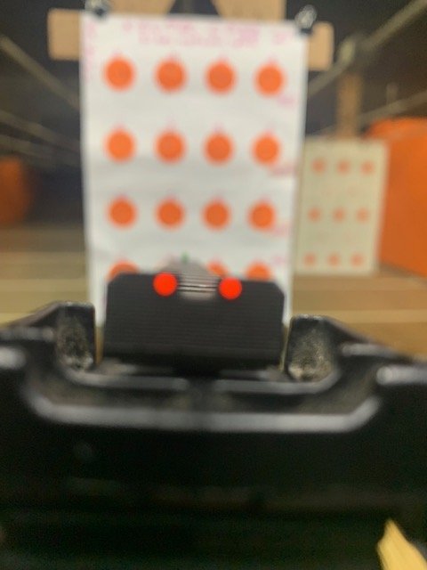 pic from rear sights red fiber optic.jpg