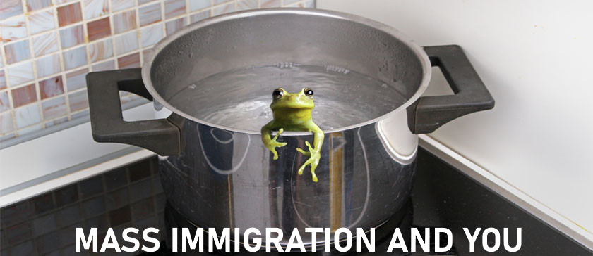 Frog-boil-Mass-Immigration.png