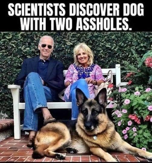 Biden Dog with Two Assholes.jpg
