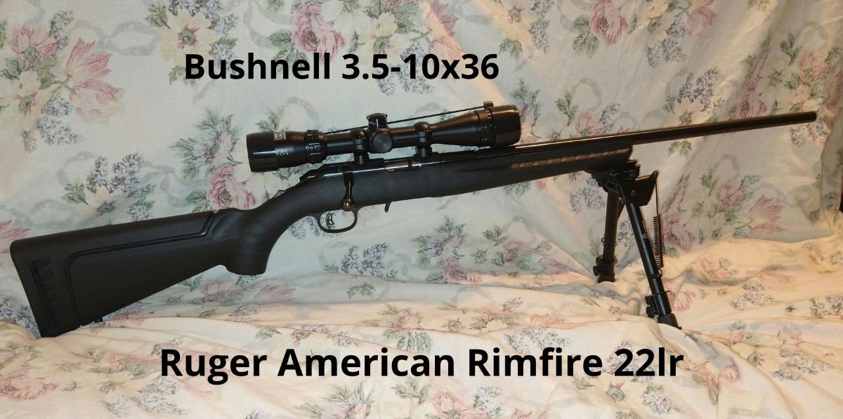 Ruger American Rimfire 04.jpg