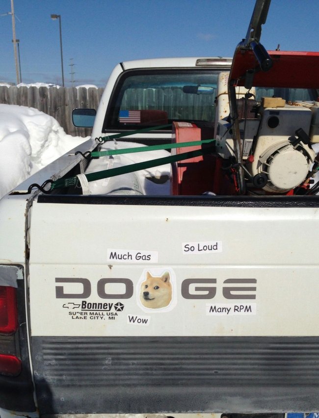 DOGE pickup.jpg