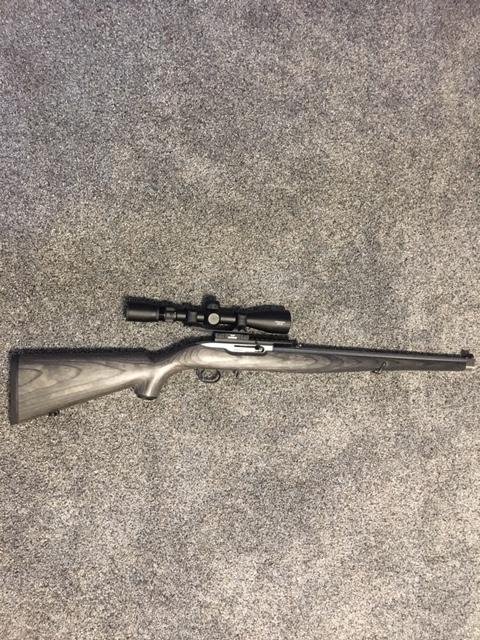 Ruger 10.22 pic with cantilever rings  scope.jpg