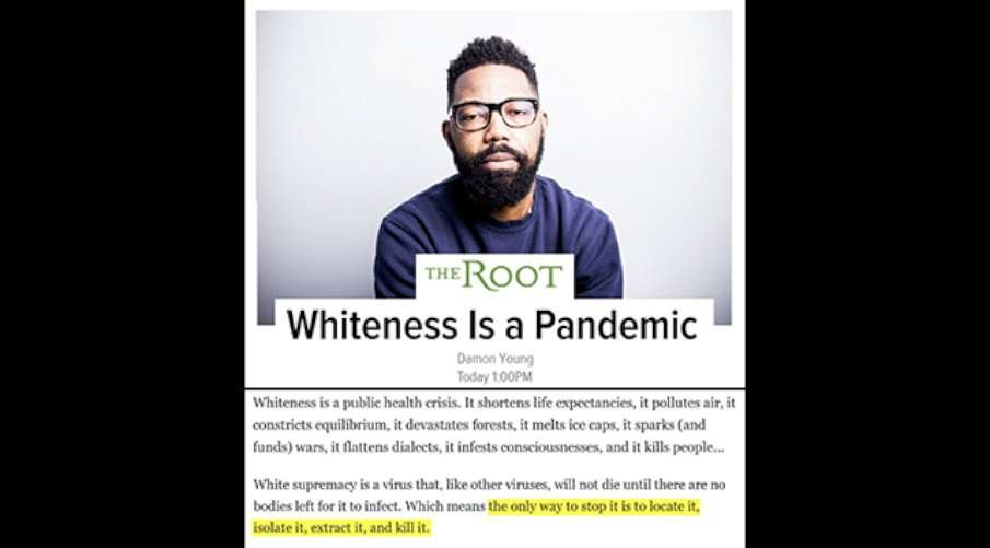 e+the-root-whiteness-pandemic-1-905.jpg