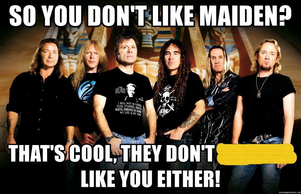 so-you-dont-like-maiden-thats-cool-they-dont-like-you-either.jpg