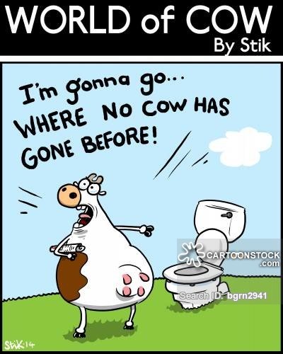 animals-cow-world_of_cow-toilets-bathrooms-loos-bgrn2941_low.jpg