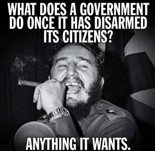 castro-what-does-a-government-do-once-its-disarmed-its-citizens-anything-it-wants.jpg