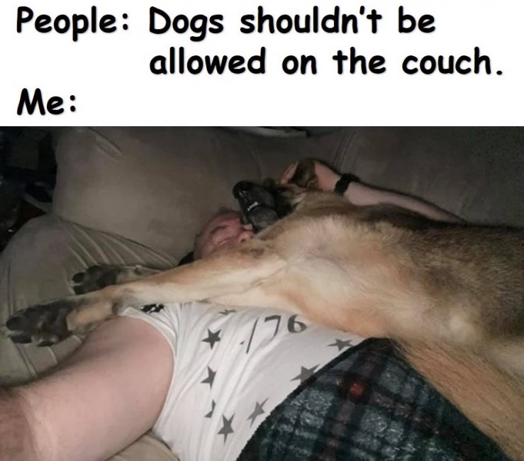 on the couch.jpg