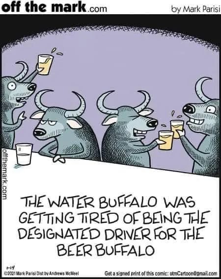 Water-Buffalo.jpg