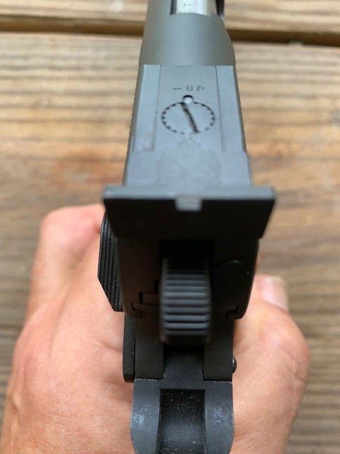 rear sights adjustable from back view.jpg