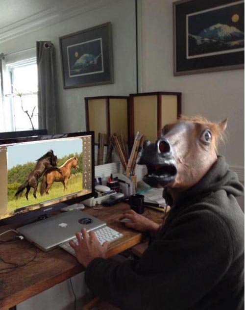 horse-using-computer.jpg