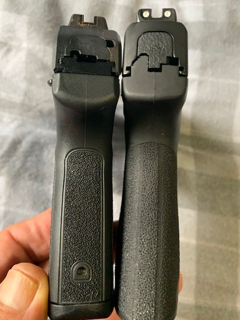 comparison pic with Ruger Max 9 from back of grips. SW on right.jpg