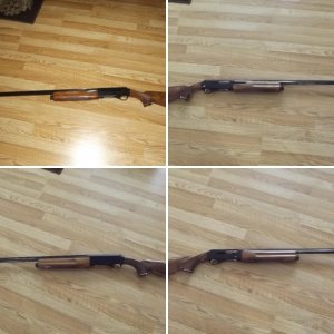 Weatherby 82