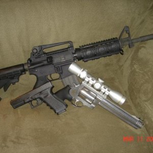 G22, S&W 460 Magnum, Bushmaster AR15 (no longer own)