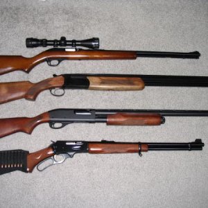 Marlin Model 60 .22
Stoeger 12ga, O/U
Remington 870 12ga,
Marlin 30/30
