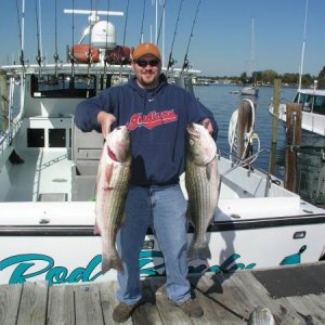 2009 Maryland-Chesapeake Bay- Striped Bass (Rockfish)