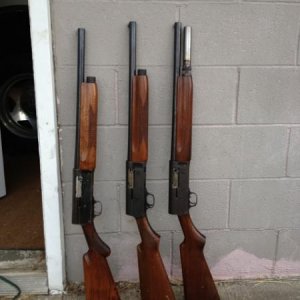 Remington Model 11's
