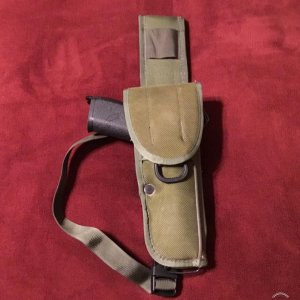 RP 45 in M12 holster with hip extension