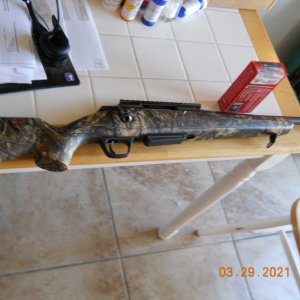 Winchester XPR .243 Win