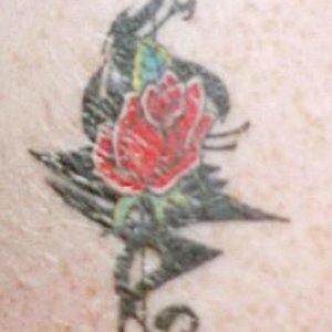 3rd tat, 1998 or so? Altered Image Studios, Vincennes Indiana. Done by Lance Lands.